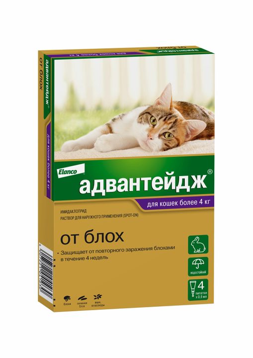 Адвантейдж для кошек более 4 кг — 4 пипетки по 0,8 мл