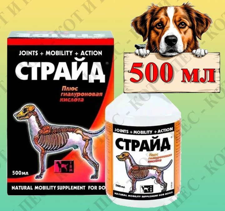 Страйд Плюс 500 мл: справочная карточка, точная упаковка