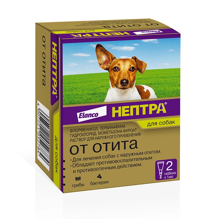 Нептра, 2 пип/упак: справочная карточка, точная упаковка