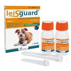 Лейсгард Leisguard 2 флакона по 60 мл
